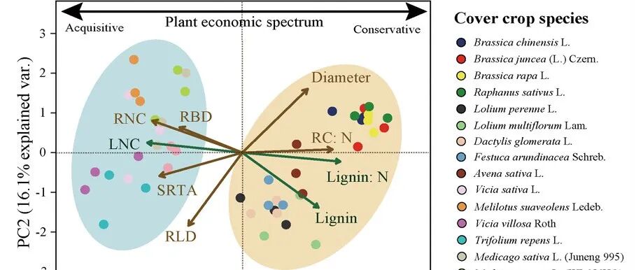 Journal of Applied Ecology：利用覆盖作物的功能性状来协调作物生产力和土壤健康