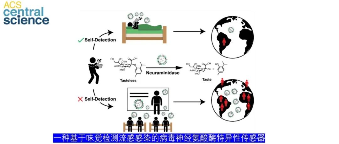 ACS Cent. Sci. | 一种基于味觉检测流感感染的病毒神经氨酸酶特异性传感器