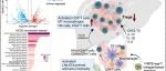 ACS Nano丨福州大学刘小龙等团队利用干式恒温装置物理制备治疗性癌细胞疫苗有效对抗肝细胞癌