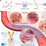 Biomaterials丨四川大学王云兵/罗日方合作研究设计超声激活取向性压电纳米防护层用于血管植入物的有效原位血管修复