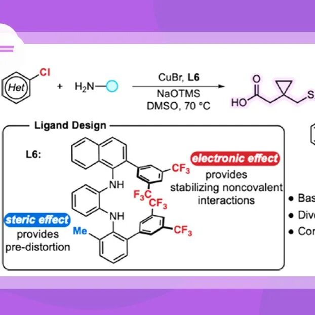 【JACS】麻省理工学院Buchwald团队：&#8204;新型配体的开发，用于铜催化碱敏感性(杂)芳基氯化物与胺类化合物的偶联反应