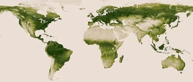 中科院地化所研究团队《Nature Geoscience》最新成果！揭示全球植被碳氮循环过程耦合及其气候响应和反馈的新机制