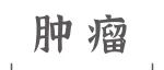 Research丨基于人工智能的多中心CT“无创”量化肿瘤纤维化，助力胰腺癌精准化疗决策