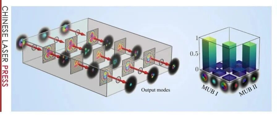 Adv. Photon. | 光学涡旋：开启光通信的新维度