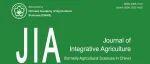 JIA 10月优先上线文章（三）