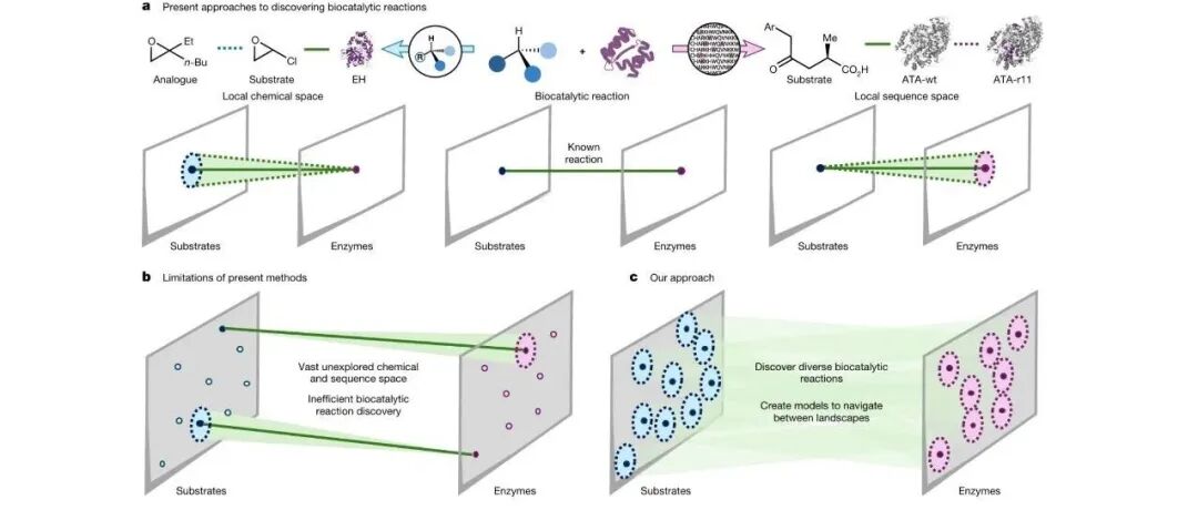 文献分享| Nature：连接化学空间和蛋白质序列空间以预测生物催化反应
