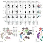 Nature Immunology，Nature Reviews Immunology丨 期刊学习