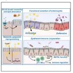 Immunity, Cellular & Molecular Immunology丨期刊学习