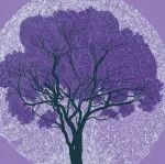 西安交大：跨时间尺度的力学生物学 |《自然综述：物理》论文