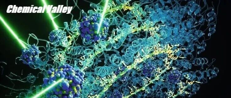 遵义医科大学陈永正团队：第一例P450羟基化构建轴手性丙二烯