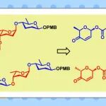 【OL】昆明植物所肖国志课题组：钯催化糖基化反应实现Pyridapeptide B-E中三脱氧聚糖结构的高立体选择性从头合成
