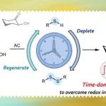 【JACS】南方科技大学王健纯：“消耗─再生策略”实现交流电催化差向异构化