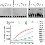 中国科学技术大学俞汉青/刘东风/程洲华合作最新Nature子刊