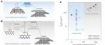 研究前沿：浙江大学，石墨烯基碳纤维 | Nature Materials