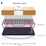 研究进展：石墨烯等离激元-腔量子电动力学 | Nature Physics