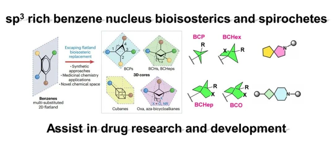 总结｜一文搞定苯环等排体（如BCP、BCHex、BCHep、BCO），新型分子砌块的设计
