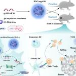 东华大学史向阳教授团队 Bioact. Mater.：智能树状大分子纳米凝胶通过抑制糖酵解与激活免疫协同增强mRNA癌症疫苗疗效
