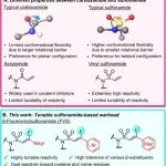 J. Am. Chem. Soc. | β-氟乙烯基磺酰胺作为共价靶向蛋白的反应弹头