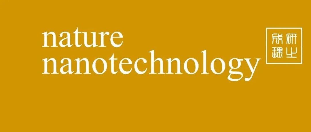 水凝胶，Nature Nanotechnology！