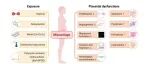The Innovation Medicine | 环境污染物暴露导致胎盘功能障碍进而引发不明病因流产
