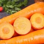 《食品科学》：扬州大学顾瑞霞教授等：添加Kefir对植物乳植杆菌发酵胡萝卜品质的影响