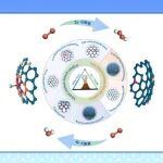 【Coord. Chem. Rev.】华中科大王春栋/石河子大学薛新英：碳基催化剂的选择性氧还原反应路径