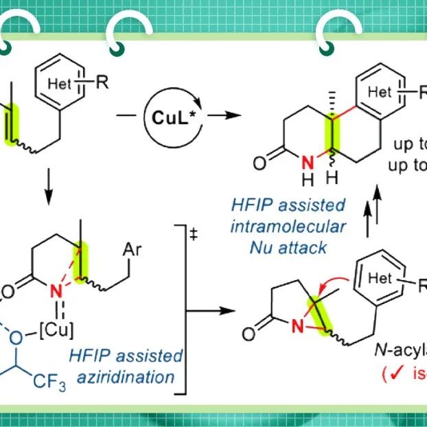 【JACS】韩国科学技术院Sukbok Chang组：HFIP助力铜催化不对称氮宾体转移串联环化反应合成稠合多环δ-内酰胺