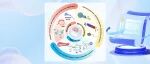 【Angew. Chem.】哈尔滨工业大学贺强：治疗神经系统疾病的自主微型/纳米机器人工程—从障碍跨越到神经能量恢复