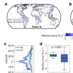 文献解读｜Nature子刊：南京农大丁艳锋教授团队系统研究近四十年全球叶片氮磷含量的时空变化格局及其对光合作用的影响