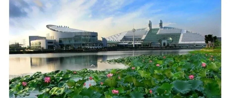Nature正式接受 →浙江大学团队“皮肤渗透性高分子”论文