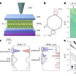 研究进展：二维材料WSe&#8322;-Hofstadter蝴蝶 | Nature Physics