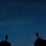 王双印/陈晨JACS：晶体-非晶杂化结构实现破记录尿素电合成！