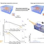 国科大/中科院杭州医学所赵紫光、南科大陈伟鹏 ACS Nano：纳米相分离异质凝胶实现双向光控离子梯度能调控