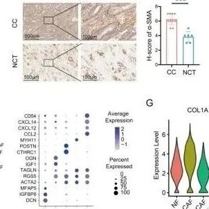 Mol Cancer丨复旦大学华克勤等发现CD54+iCAF-ITGAL+巨噬细胞生态位可驱动宫颈癌免疫抑制