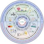 上海理工大学朱雪冰/柏中朝团队Adv. Funct. Mater.综述：催化化学赋能高性能锂硫电池