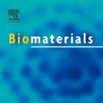 湖南大学翁群红/北京交通大学王熙Biomaterials:&#160;“转移性黑色素瘤治疗不再难：透皮纳米酶药物带来的高效低毒方案”