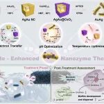 Biomaterials：与益生菌相结合的AgAu-CeO2异质结三重响应性纳米酶平台用于实现牙周炎精准抗菌治疗