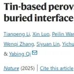 复旦大学&上海交大&南理工最新Nature！