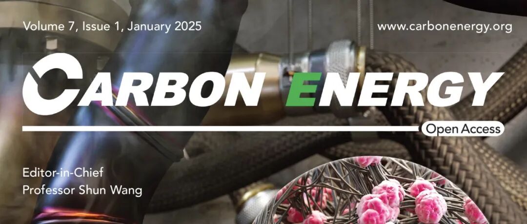 韩国成均馆大学Sung Wng Kim Carbon Energy：超稳定一维Ti&#8322;S电极载体用于高效持久的双功能电催化剂