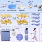 华东理工大学莫润伟团队Adv. Fiber Mater：面向无线供能设备的自愈合准固态纤维电池界面设计