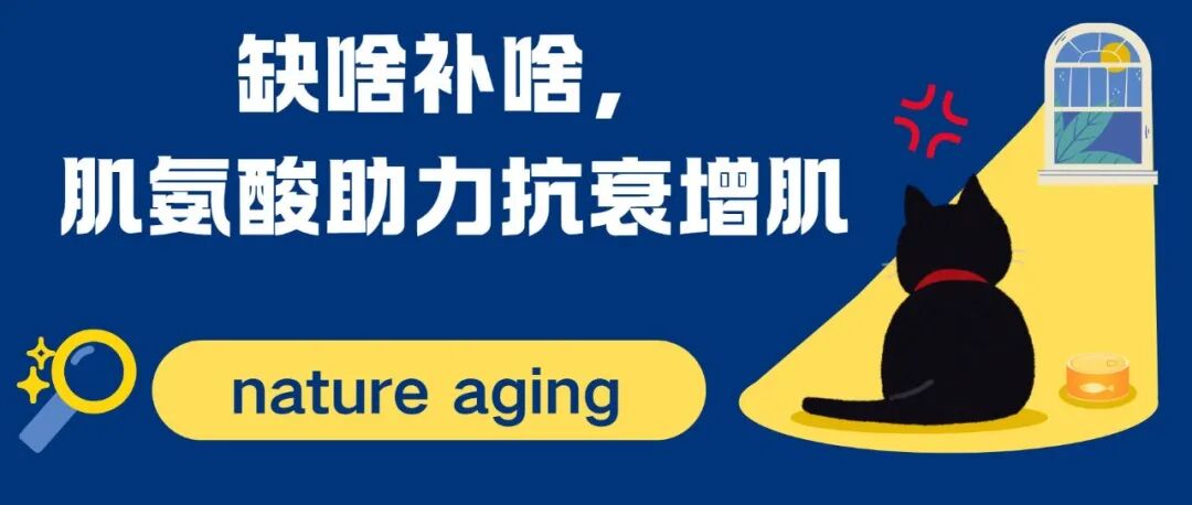Nature aging：缺啥补啥，肌氨酸助力抗衰增肌