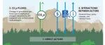 Global Change Biology｜需要开展地球上最大规模的实验以实现全球气候目标