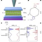 二维材料WSe&#8322;-Hofstadter蝴蝶 | Nature Physics