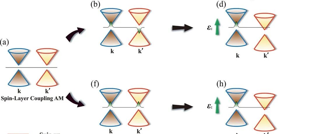 (纯计算)北京理工大学冯万祥团队Phys. Rev. B: 自旋-层耦合诱导二维交错磁体中的层霍尔效应和层自旋霍尔效应