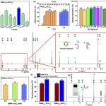 上海有机所王晓艳/唐勇团队《Green Chem.》: 低温高浓度条件下对高分子量 PMMA 的高效催化解聚