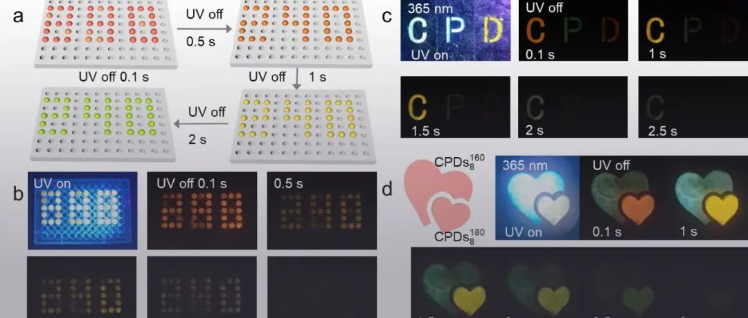 北京林业大学彭锋教授团队 AFM：通过精准核-壳结构调控构建红色及时间依赖变色磷光纤维素碳化聚合物点