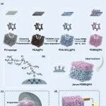 北印焦守政/孙志成、哈工大成中军 CEJ: 基于类液体PDMS分子刷的分级Janus海绵蒸发器用于高效太阳能驱动的可持续界面蒸发