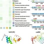 中国科学院朱冬团队最新PNAS