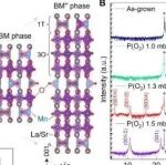 厦门大学魏现奎团队合作最新Science子刊