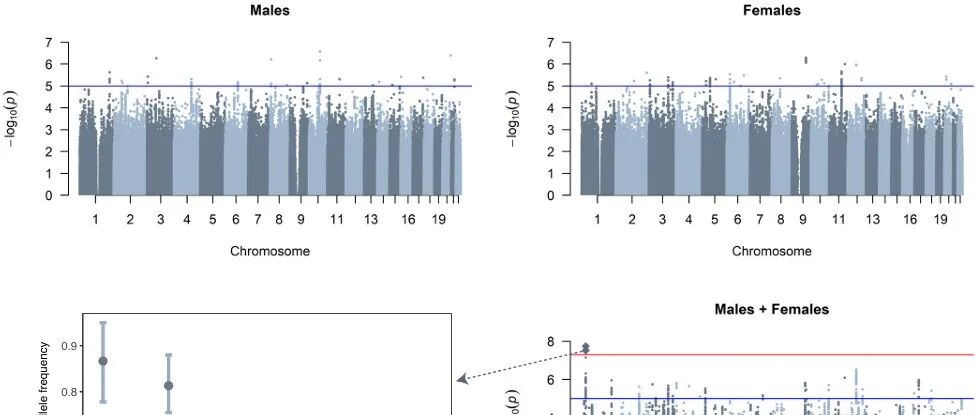 PNAS | 惊人发现：无性生活与高教育、高智商、更不快乐有关，且男女间存在明显差异